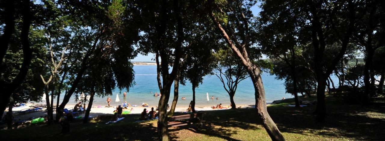 Apartman P&b Tar-Vabriga